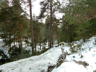 Decimo aniversario - Sierra Guadarrama; viajes de fin de año; ruta sierra madrid; siete picos madri